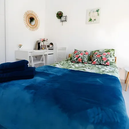 Panzió D'hotes Le Cocon De Lily Saint-Avit