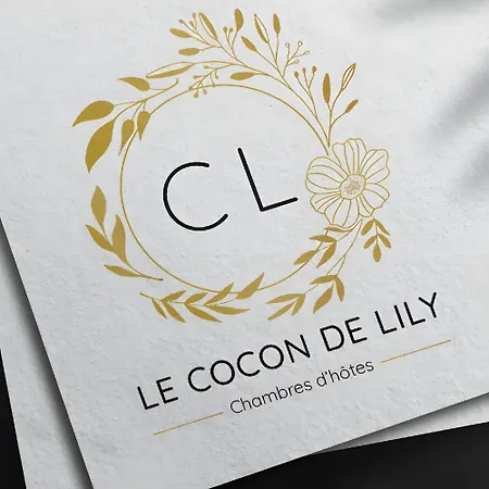 ベッド・アンド・ブレックファスト D'hotes Le Cocon De Lily Saint-Savin (Gironde)