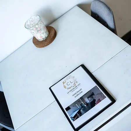 Panzió D'hotes Le Cocon De Lily Saint-Avit