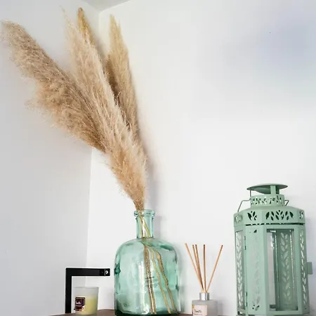 Bed & Breakfast D'hotes Le Cocon De Lily Saint-Avit (Charente)