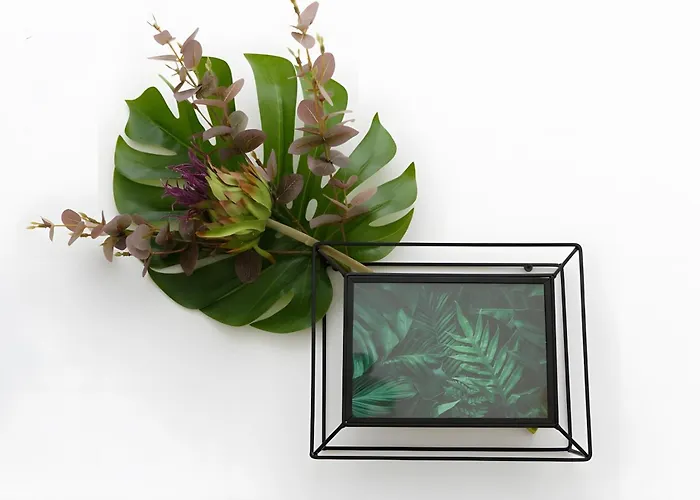 D'hotes Le Cocon De Lily Bed & Breakfast 3*