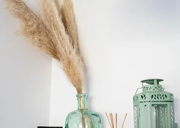 Bed & Breakfast D'hotes Le Cocon De Lily Saint-Avit (Charente)